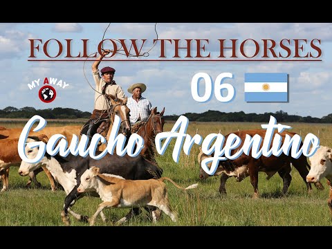 06 Gaucho Argentino