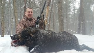 preview picture of video 'FINGER LAKES EXOTIC FARM CVA WOLF 50CAL ELUSION CA'