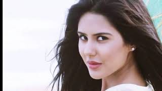 Sonam Bajwa Leaked Video Controversy  what is the 