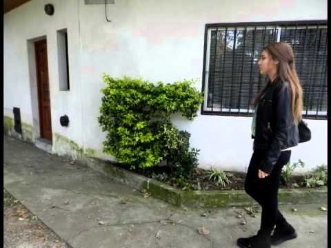 La cornuda, la zorra, la asesina y el macho