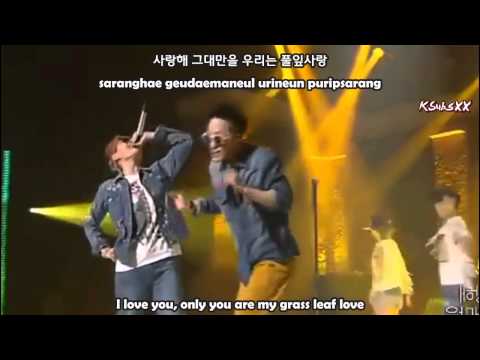 Simon D & Zion-T - Grass Leaf Love (풀잎사랑) [Eng + Rom + Han Subs]