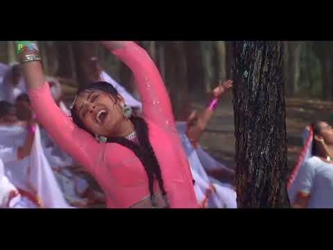 HDVidz in Bulbul Bole Angna Mere Video Song  Dhartiputra  Mammootty Rishi Kapoor Jayapradha  HD