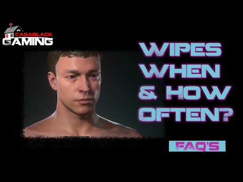 How Often Does Star Citizen Have Progression Wipes?