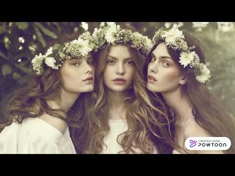 MARIN DRŽIĆ, Novela od Stanca