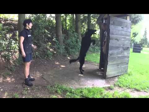 AISAF von Pike's Spirit July 2015