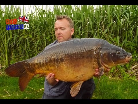 Carp fishing surface rig