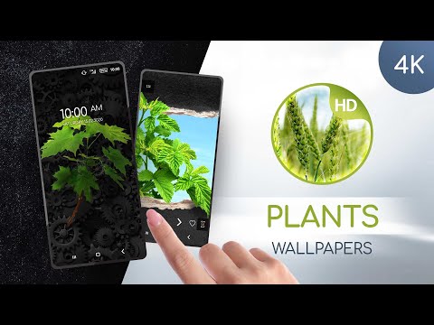 Wallpapers with plants
