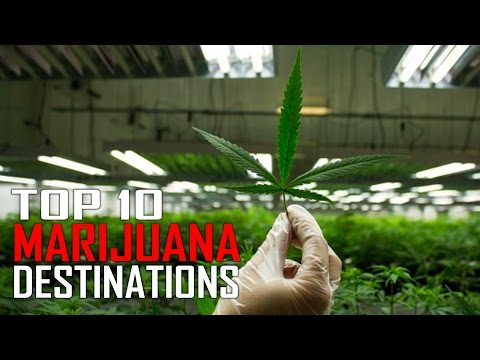 image-Is it possible to find cannabis-friendly places to stay?
