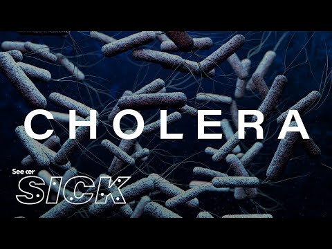 被世界遺忘的大流行病 (The Pandemic the World Has Forgotten)