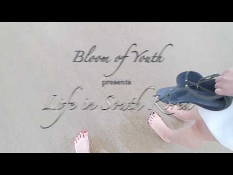 Everyday Life in South Korea ㅣ Bloom of Youth