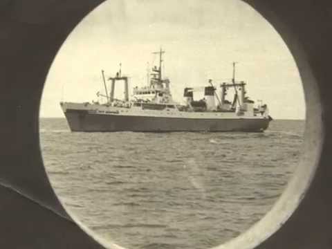 Oscar Isaac with Punch Brothers - The Shoals Of Herring