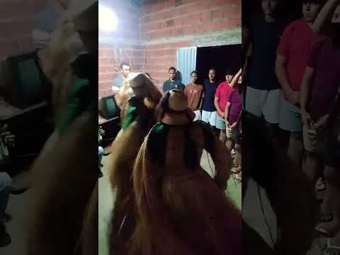 #cultura #piauiense #piauiense #cavalo boa hora Piauí