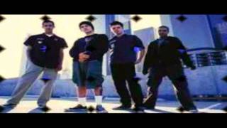 "Rebel Youth"  The Dingees