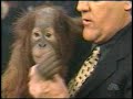 Tonight Show Jay Leno San Diego Zoo 1997 Segment Viral Tv Vhs Monkey Seal Tonightshow Animals
