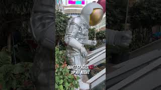 5 Things You Can't Miss on Wonder of the Seas!