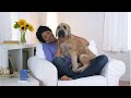 9 Problems With Dating Single Dog Moms