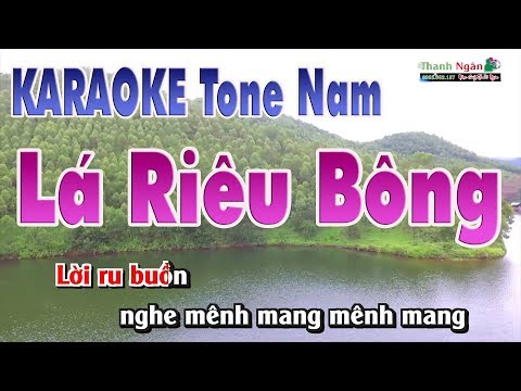 Lá Diêu Bông Karaoke | Beat Chất Lượng Cao ( Tone Nam ) - Nhạc Sống Thanh Ngân