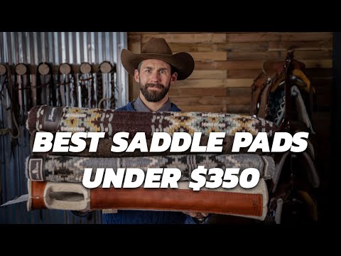 Tack Talk | The Best Saddle Pads Under $350