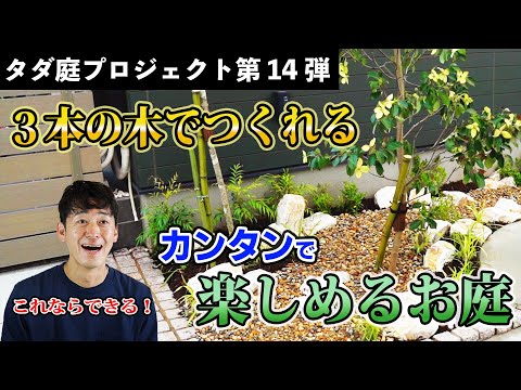 アオギボウシ 植物