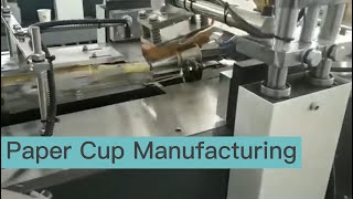 How are Disposable Paper Cups Manufactured?