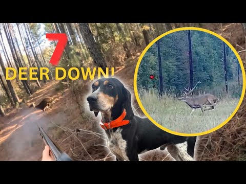 Der schnellste Sprungwurf aller Zeiten!? (Wir haben sie absolut vernichtet!!)