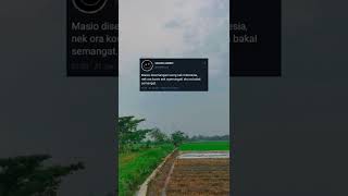 Download lagu STORY WA 30 DETIK TERBARU || KATA-KATA BIJAK BAHASA JAWA mp3