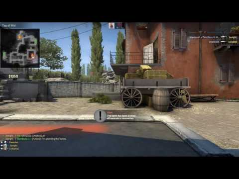 Die sind immer in meinem Team, IMMER.