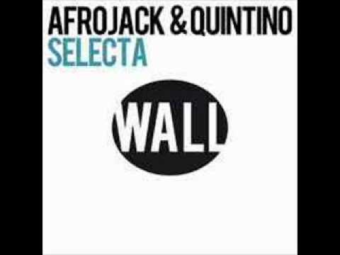 Wolfgang Gartner & Will.i.Am v.s. Afrojack - Forever Selecta