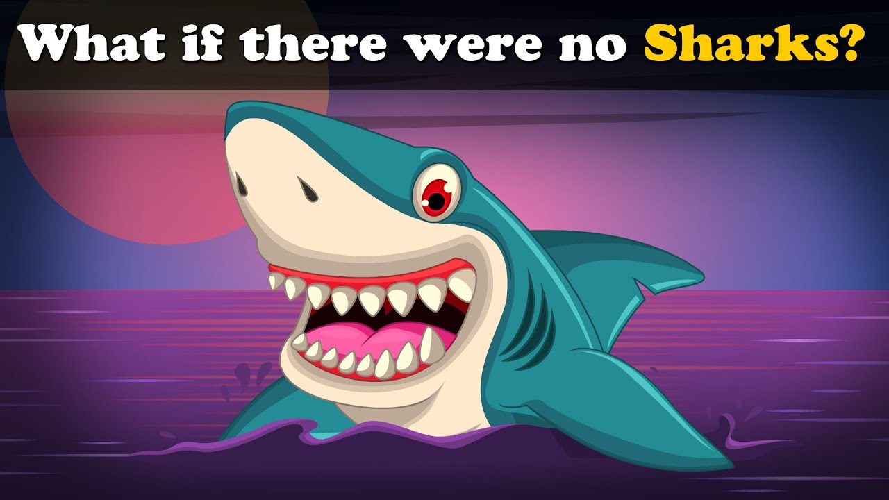 What if there were no Sharks? + more videos | #aumsum #kids #science #education #children