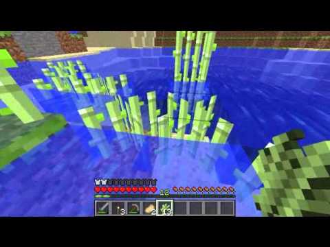 | MINECRAFT BUGS 1.4.7 | - Canne da zucchero sott'acqua