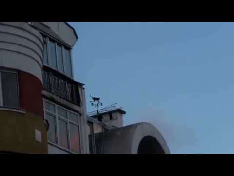 ★I want to be a bird★