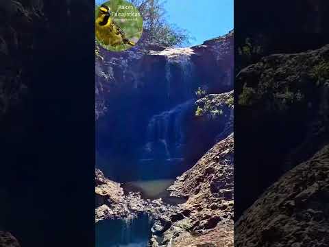 ✨ Valle Lunarejo Rivera | El paisaje más hermoso de Uruguay 🇺🇾 #turismo #uruguay #viajes #nature