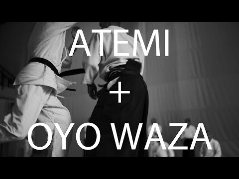 Atemi + Oyo waza - Traditional Aikido Europe - Lewis Bernaldo de Quiros Weesp Yudansha Seminar