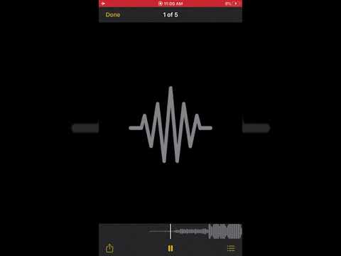 ATM Chevy & ATM Fat Youngsta-Focus