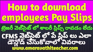 how to download Employees pay slips and employee pay statement