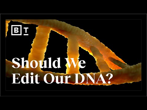 混合人類和動物的DNA以及基因編輯的未來 | 大思考 (Mixing human + animal DNA and the future of gene editing | Big Think)