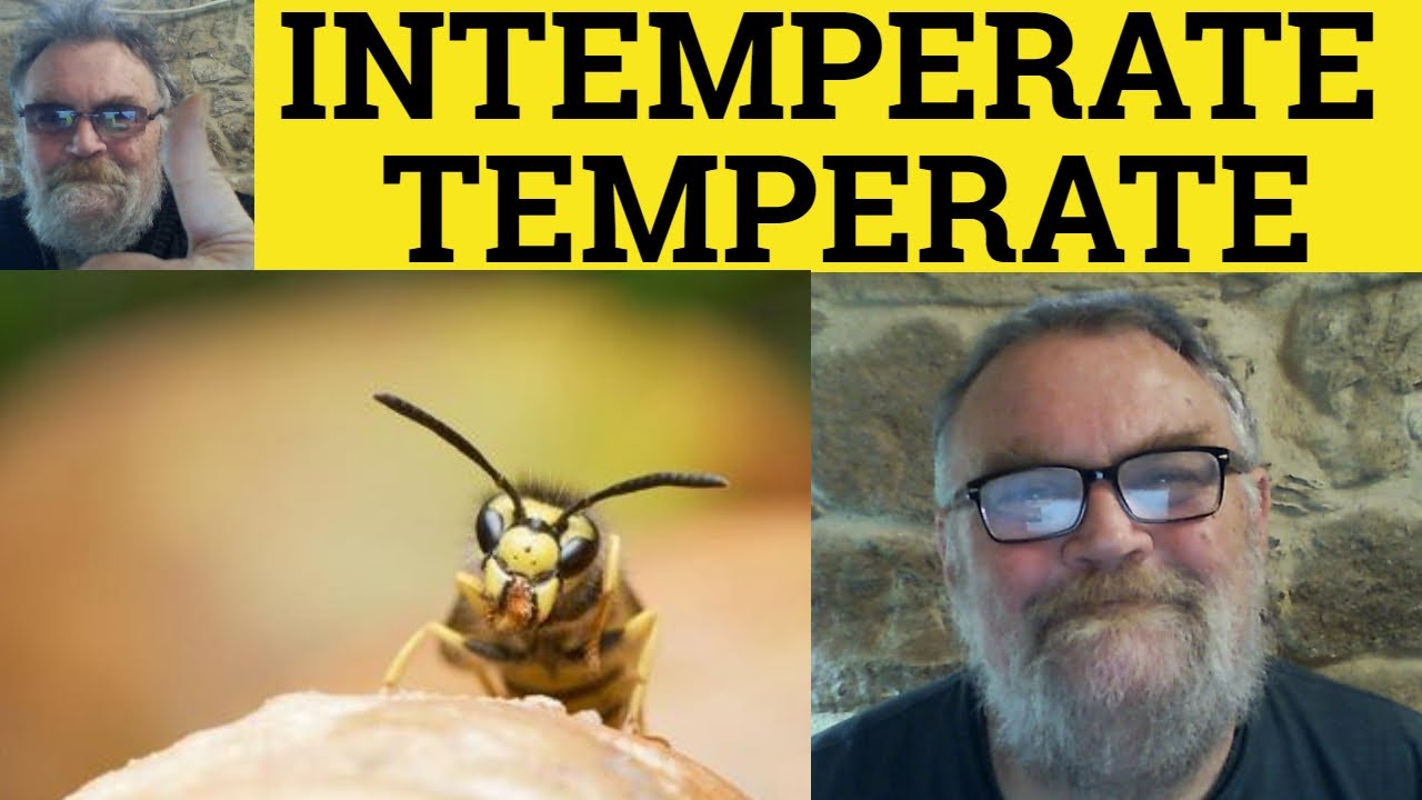 🔵 Intemperate Meaning - Temperate Defined - Intemperately Examples -Intelligent Vocabulary Temperate