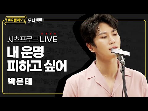 [#리플레이모차르트!] 시츠프로브 LIVE ♬ '내 운명 피하고 싶어' 박은태