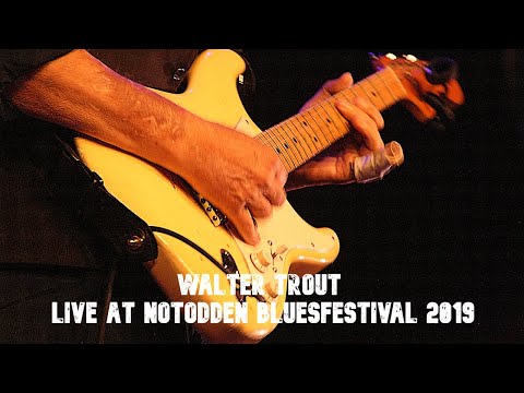 Walter Trout live with a broken finger at Notodden Bluesfestival 2019