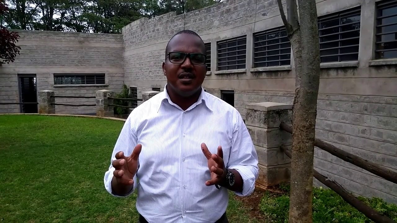 E4Impact Accelerator - Where Kenyan Innovators meet the best of Italian Businesses