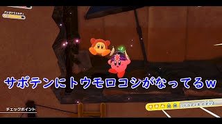 #10【協力プレイ】億越えワドルディを救え？「星のカービィ ディスカバリー」【LED】