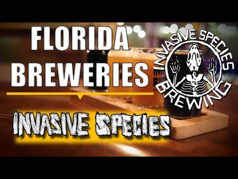 Invasive Species Brewery [mini tour] Florida Brewery Series