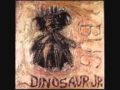 Dinosaur Jr - They Always Come