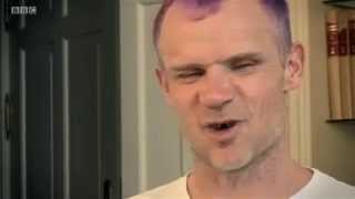 Flea On Jack Bruce's Influential Style Of Bass Playing