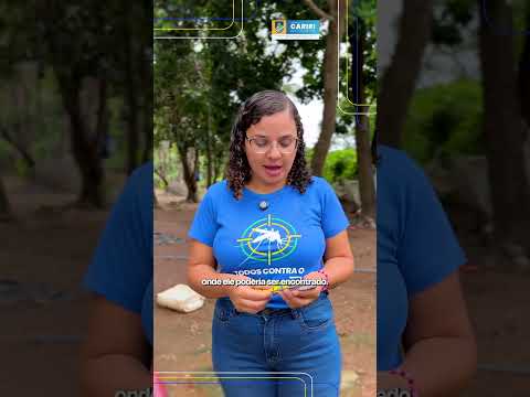 Equipe "Mais Saúde com Agente" no combate e prevenção da Doença de Chagas | Cariri do Tocantins - TO