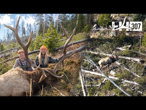 Late Season Wyoming Bull Elk Hunt!! (VAPOR TRAIL 450 yards) 4K