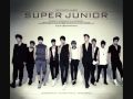 Audio Super Junior No Other Official