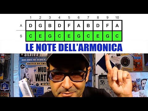 Le note dell'armonica | Easyharp | Video lezioni di armonica blues