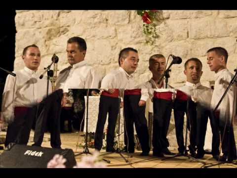 klapa dubrava - sridu stabal u dubravi