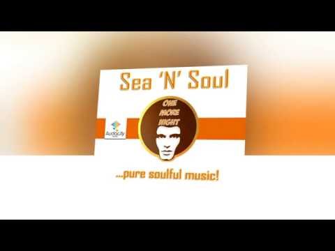 Sea 'N' Soul - One More Night [Original Mix]